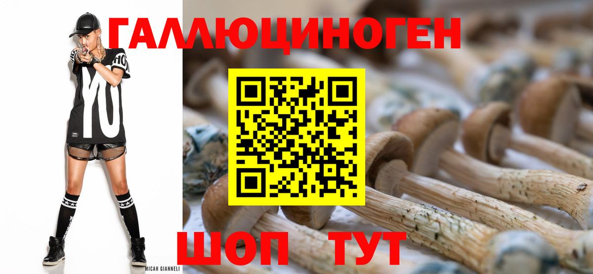 Псилоцибиновые грибы ЛСД Ачхой-Мартан