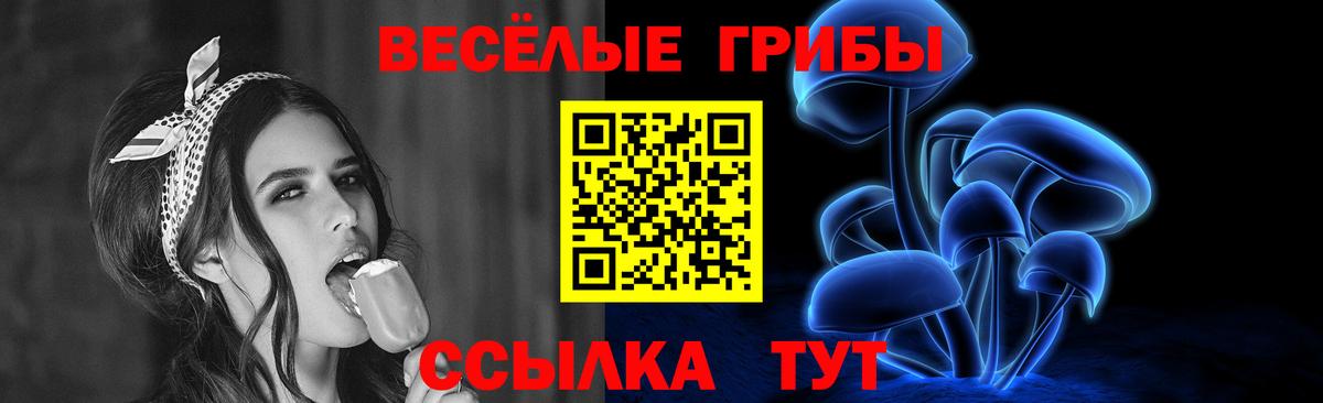 где купить наркотик  Псилоцибиновые грибы прущие грибы  Ачхой-Мартан  Галлюциногенные грибы ЛСД 